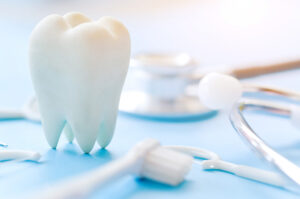 Zahnmodell, Zahnbürste und Zahnseide